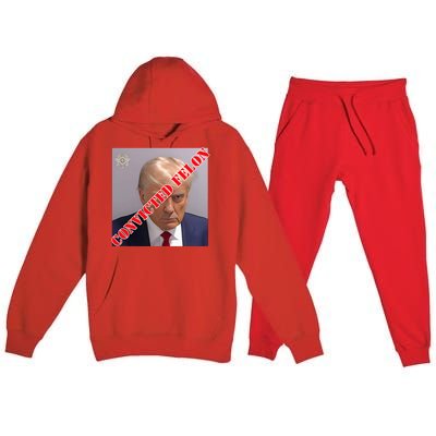 Trump Convicted Felon Premium Hooded Sweatsuit Set