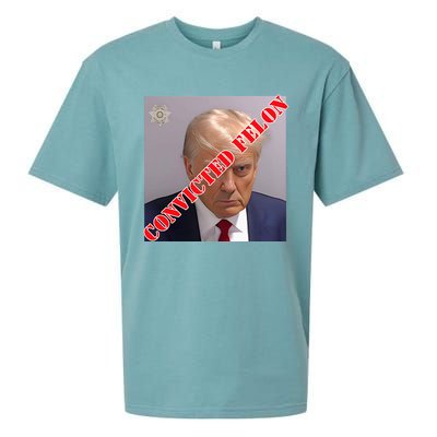 Trump Convicted Felon Sueded Cloud Jersey T-Shirt