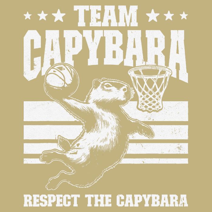 Team Capybara Funny Retro Rodent Capybara Playing Hoodie