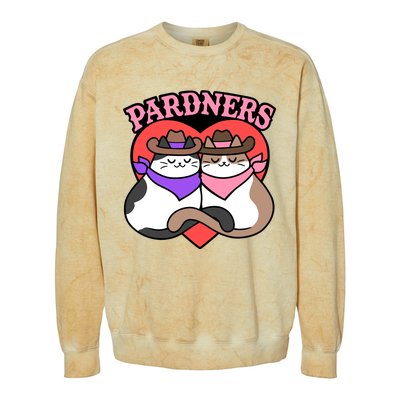 The Cat Hive Pardners Enamel Pin Colorblast Crewneck Sweatshirt