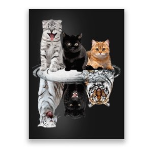 Three Cats Kittens Reflection Tiger Leopard Poster