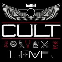 The Cult Love Symbols Toddler Hoodie