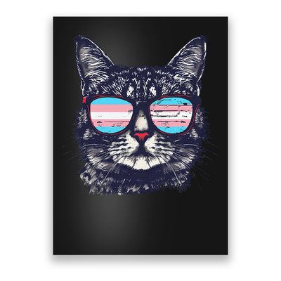 Transgender Cat LGBT Transsexual Flag Trans Transsexuality Poster