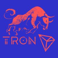 Tron Crypto Millionaire Bullrun Hodl Trx Token To The Moon! Gift Stripe Pom Pom Beanie