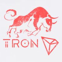 Tron Crypto Millionaire Bullrun Hodl Trx Token To The Moon! Gift Garment-Dyed Sweatshirt