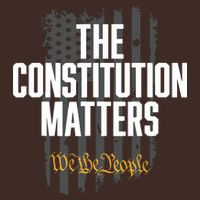 The Constitution Matters Vintage We The People Constitution T-Shirt