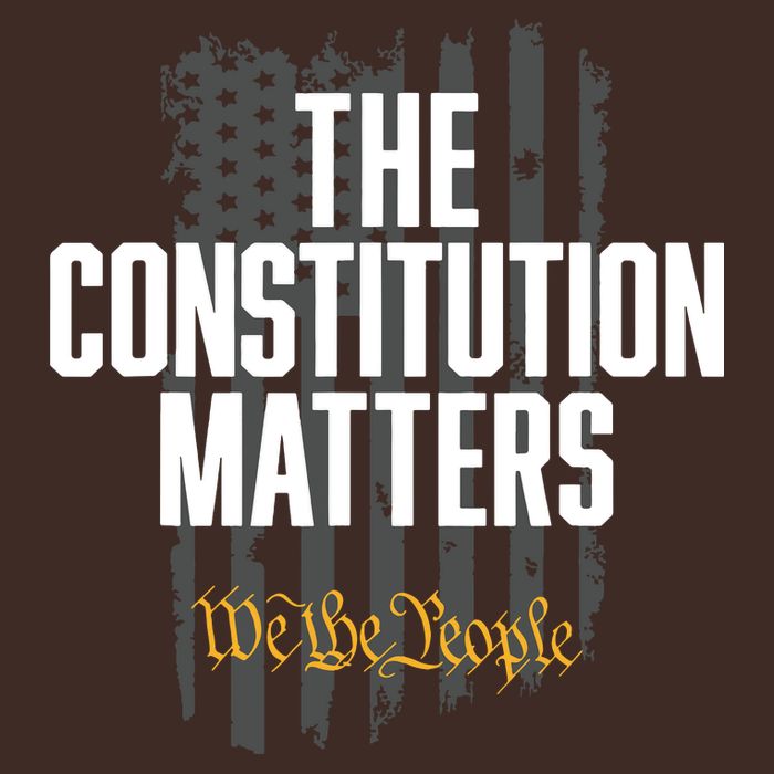 The Constitution Matters Vintage We The People Constitution T-Shirt