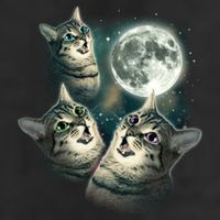 Three Cat Moon Funny Wolves Parody Great Gift 7 Panel Mesh Trucker Snapback Hat