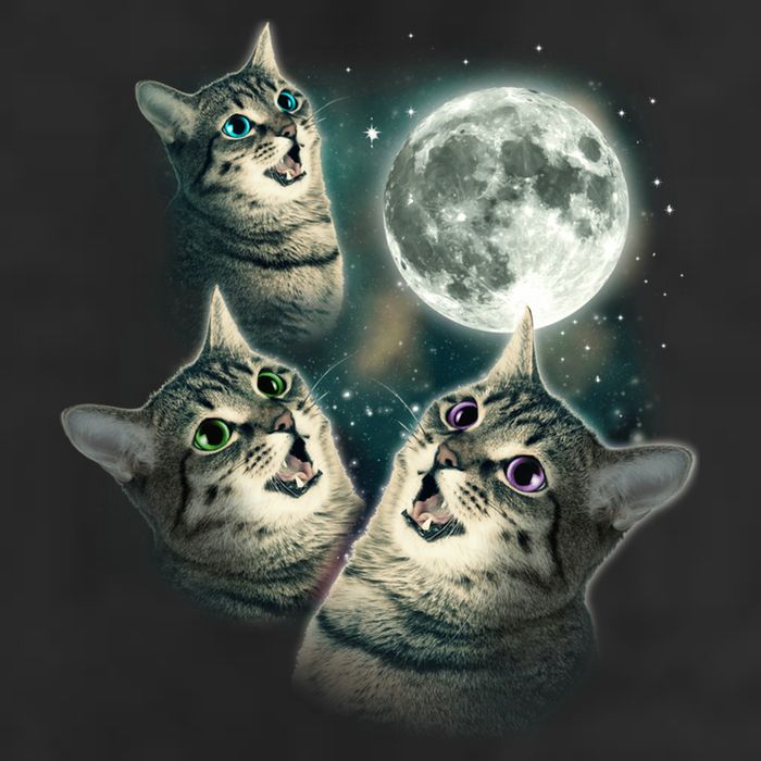 Three Cat Moon Funny Wolves Parody Great Gift 7 Panel Mesh Trucker Snapback Hat