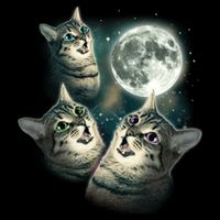 Three Cat Moon Funny Wolves Parody Great Gift Impact Tech Backpack