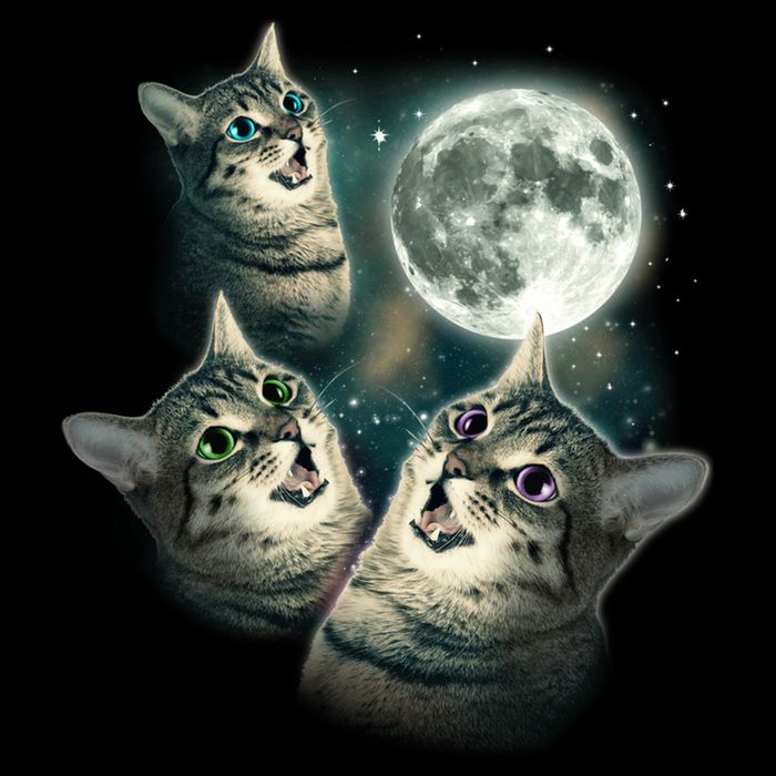 Three Cat Moon Funny Wolves Parody Great Gift Impact Tech Backpack
