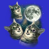 Three Cat Moon Funny Wolves Parody Great Gift Hoodie