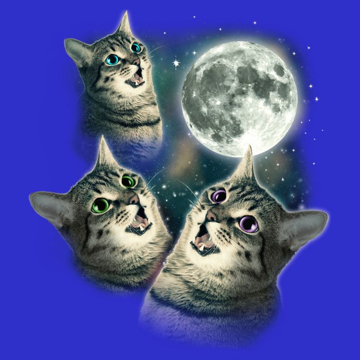 Three Cat Moon Funny Wolves Parody Great Gift Hoodie
