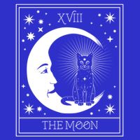 Tarot Card Moon And Cat Graphic Wicca Pagan Witch Halloween Funny Gift 16 in Basic Backpack