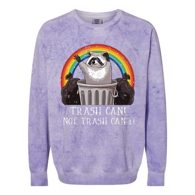 Trash Can Not Trash CanT Funny Raccoon Trash Panda Colorblast Crewneck Sweatshirt