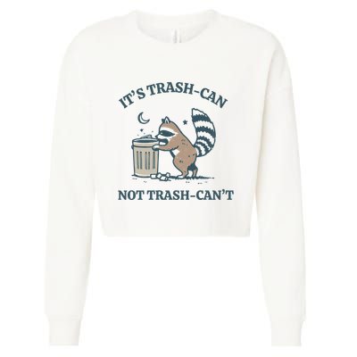 Trash Can Not Trash Cant Panda Cropped Pullover Crew