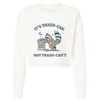 Trash Can Not Trash Cant Panda Cropped Pullover Crew