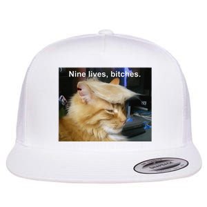 Trump Cat Nine Lives Bitches Flat Bill Trucker Hat