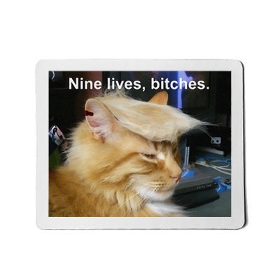 Trump Cat Nine Lives Bitches Mousepad