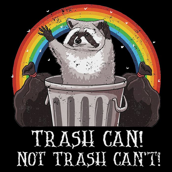 Trash Can Not Trash CanT Funny Raccoon Trash Panda Mousepad