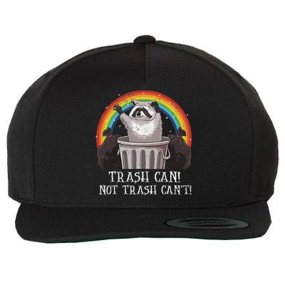 Trash Can Not Trash CanT Funny Raccoon Trash Panda Wool Snapback Cap