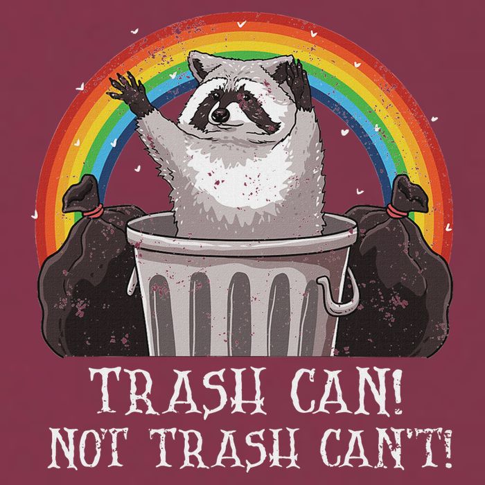 Trash Can Not Trash CanT Funny Raccoon Trash Panda 16oz Travel Tumbler