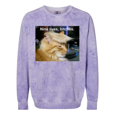 Trump Cat Nine Lives Bitches Colorblast Crewneck Sweatshirt