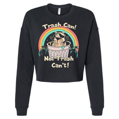 Trash Can Not Trash CanT Funny Raccoon Cropped Pullover Crew