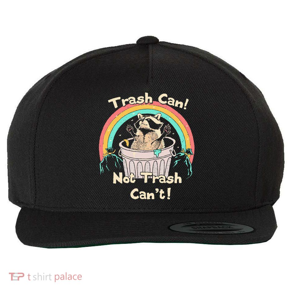 Trash Can Not Trash CanT Funny Raccoon Wool Snapback Cap