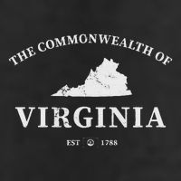 The Commonwealth Of Virginia Adult Drive Performance Visor