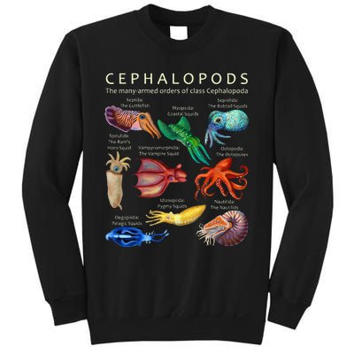 The Cephalopod Octopus Squid Cuttlefish And Nautilus Sweatshirt