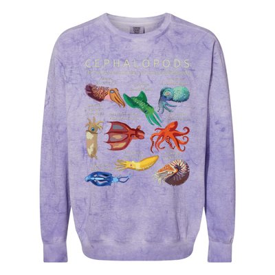 The Cephalopod Octopus Squid Cuttlefish And Nautilus Colorblast Crewneck Sweatshirt