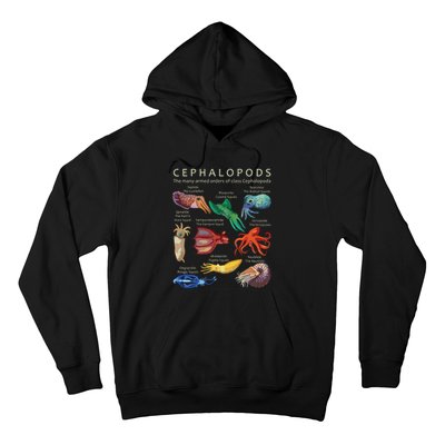 The Cephalopod Octopus Squid Cuttlefish And Nautilus Hoodie