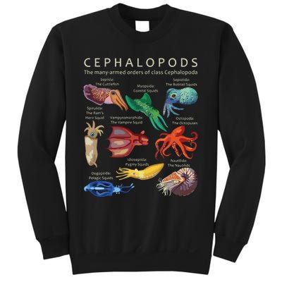 The Cephalopod Octopus Squid Cuttlefish And Nautilus Sweatshirt