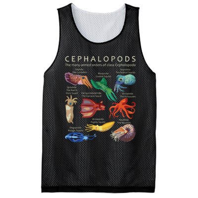 The Cephalopod Octopus Squid Cuttlefish And Nautilus Mesh Reversible Basketball Jersey Tank