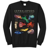 The Cephalopod Octopus Squid Cuttlefish And Nautilus Tall Sweatshirt