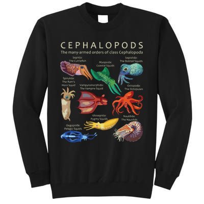 The Cephalopod Octopus Squid Cuttlefish And Nautilus Tall Sweatshirt