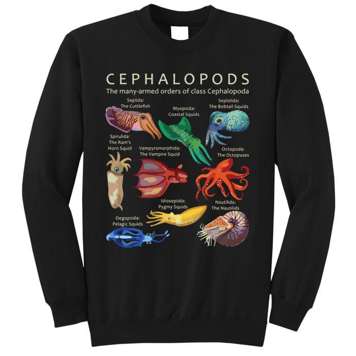 The Cephalopod Octopus Squid Cuttlefish And Nautilus Tall Sweatshirt