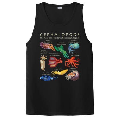 The Cephalopod Octopus Squid Cuttlefish And Nautilus PosiCharge Competitor Tank