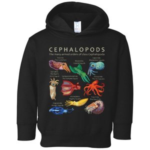 The Cephalopod Octopus Squid Cuttlefish And Nautilus Toddler Hoodie