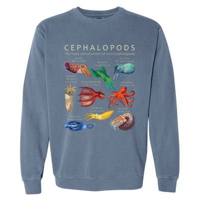 The Cephalopod Octopus Squid Cuttlefish And Nautilus Garment-Dyed Sweatshirt