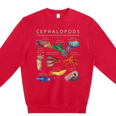 The Cephalopod Octopus Squid Cuttlefish And Nautilus Premium Crewneck Sweatshirt