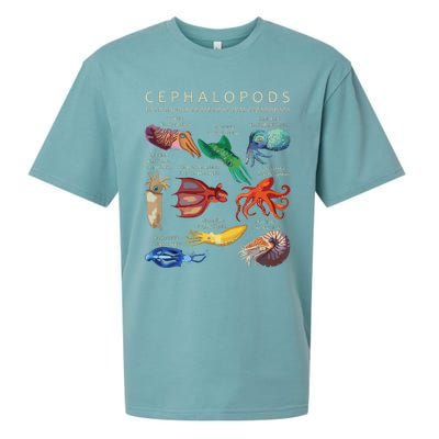 The Cephalopod Octopus Squid Cuttlefish And Nautilus Sueded Cloud Jersey T-Shirt