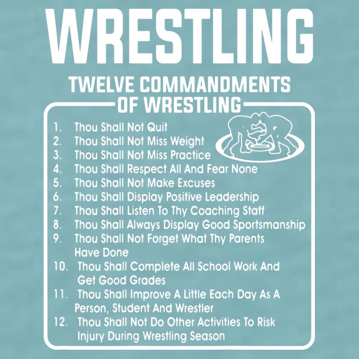 Twelve Commandments Of Wrestling Sueded Cloud Jersey T-Shirt