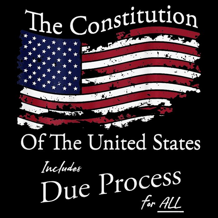 The Constitution Of The United States Due Process For All Performance Shirt
