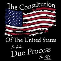 The Constitution Of The United States Due Process For All Sustainable Beanie