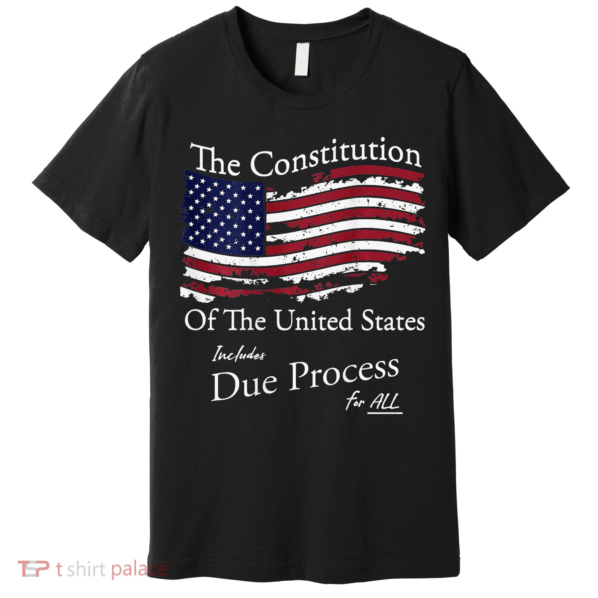 The Constitution Of The United States Due Process For All Premium T-Shirt