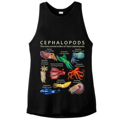 The Cephalopod: Octopus, Squid, Cuttlefish, And Nautilus Ladies PosiCharge Tri-Blend Wicking Tank