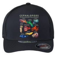 The Cephalopod: Octopus, Squid, Cuttlefish, And Nautilus Flexfit Unipanel Trucker Cap