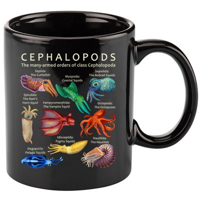 The Cephalopod: Octopus, Squid, Cuttlefish, And Nautilus 11oz C Handle Ceramic Mug
